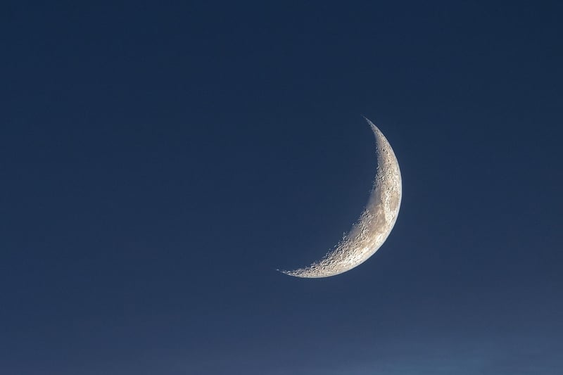 Moonbeam Tokens